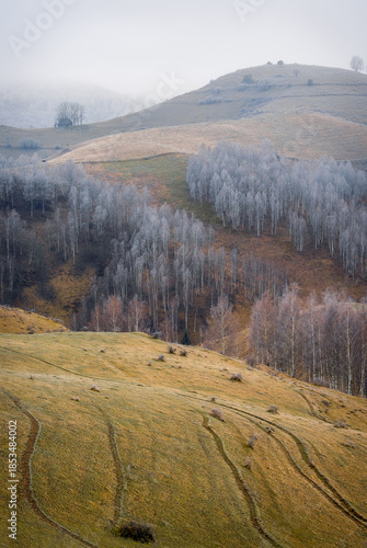 Misty winter landscape with trees on hillside and foggy sky.