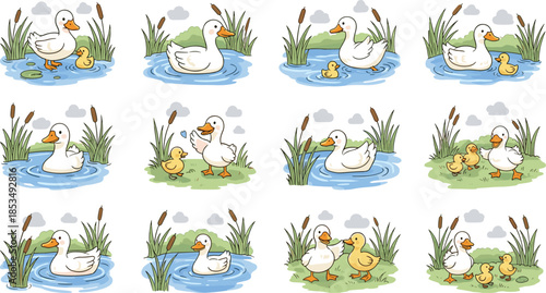 Cute duck and duckling cartoon collection featuring birds swimming in pond, walking on grass, and nature scenes for children book concepts
