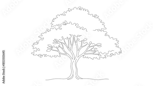 Minimalist Vector Illustration of a Lush, Detailed Tree with Spreading Branches and Leaves