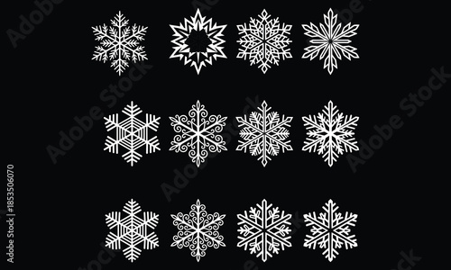 Collection of Twelve White Snowflake Icons on Black Background winter cold