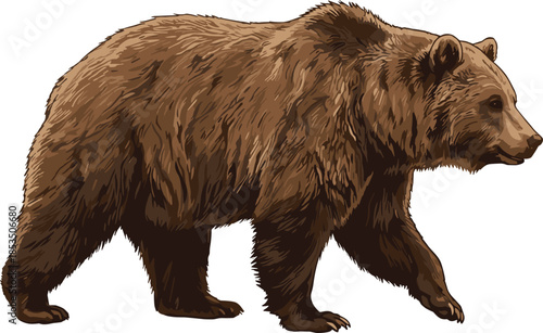 Realistic brown bear walking in profile view with textured fur and muscular build - flat vector illustration