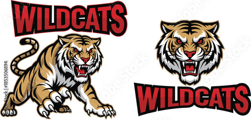 Wildcat mascot logo set with fierce full-body and snarling face designs for sports branding - flat vector illustration