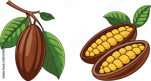Whole and Split Cacao Pods with Leaves on White Background cocoa fruit