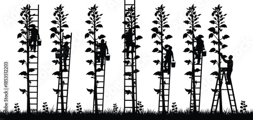 Owl silhouette, flying owl, perched bird, nocturnal wildlife, forest animal, bird species, wings spread, feather detail, night predator