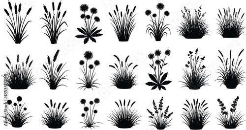 Wild plant silhouette, grass icon, botanical shape, nature foliage, floral design, landscape element, greenery vector