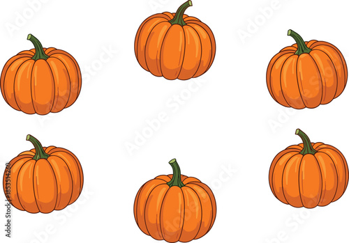 Orange pumpkin set illustration autumn harvest vegetable halloween decoration seasonal farm produce isolated white background cad drawing flat vector illustration