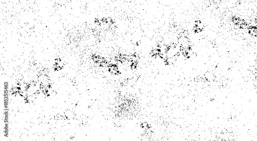 Abstract texture of grunge white and black scratches and cracks distressed, Black and White background. Abstract monochrome surface pattern.