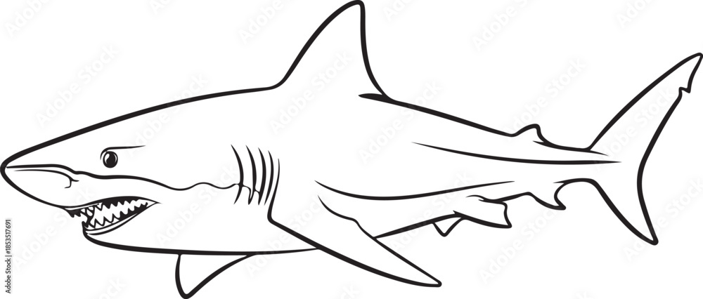 Obraz premium Black and white of a shark animal fish ocean