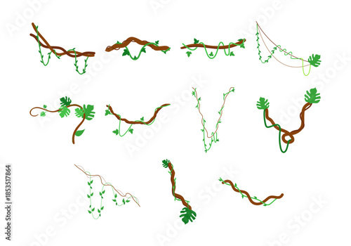 Vine Jungle Hanging Plant Element