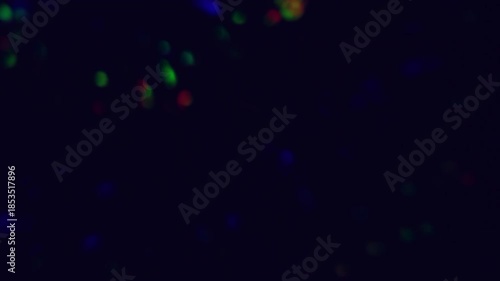 multicolored bokeh light in the night