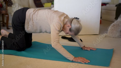 An elderly woman engages in her morning exercise routine pushups in her living room to enhance her daily fitness