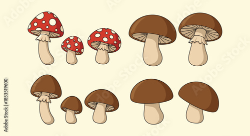 Different varieties of mushrooms including red spotted toadstools and brown edible types displayed on a soft yellow background.