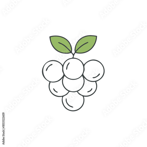 Grapes Cluster Graphic Outline Style Green Leaves Fruits Icon Illustration