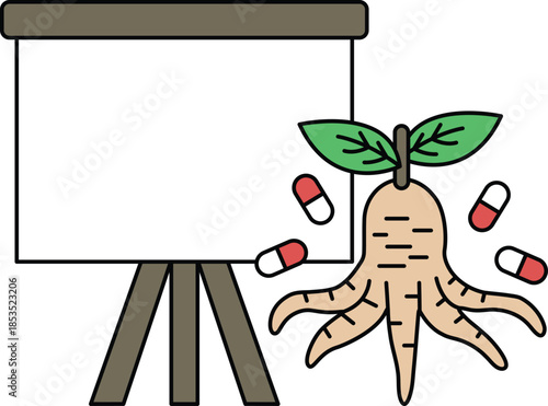 ginseng root with pills near whiteboard clip art preview