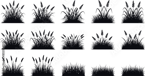 Grass and Plant Silhouette Vector Set Featuring Wild Meadow Vegetation, Botanical Ground Cover, Nature Landscaping Elements and Black Decorative Shapes
