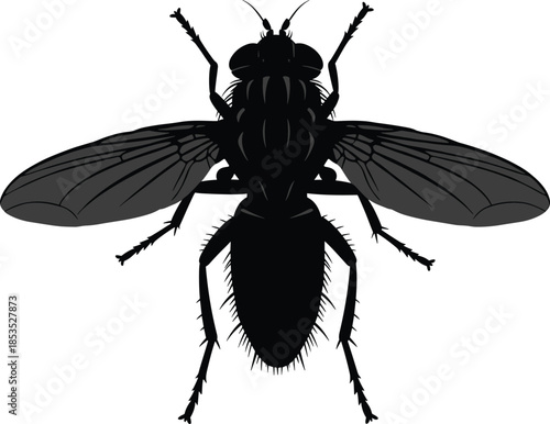 Detailed black fly insect silhouette with spread wings illustrating pest control, insects, nature, and entomology concepts