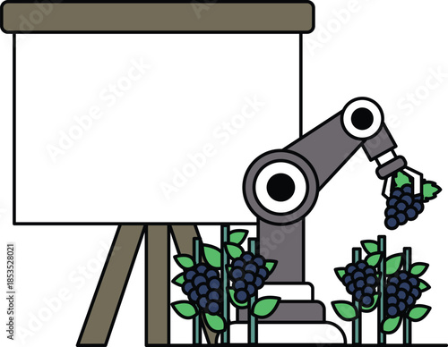 A robot is picking grapes from a vineyard