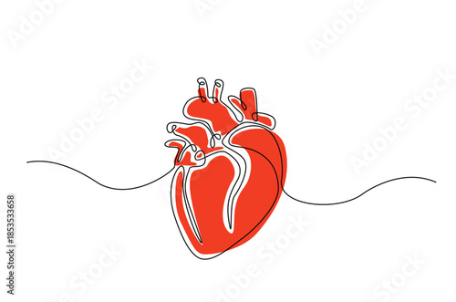 Continuous one line drawing of Human Anatomical Heart with Red Color Accent. anatomical human heart organ illustration. Editable vector.