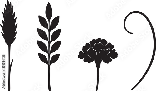 Rustic Field Dry Foliage Silhouette Set High Detail Botanical Elements.eps