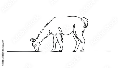 One continuous line illustration of an Llama, isolated on white background.