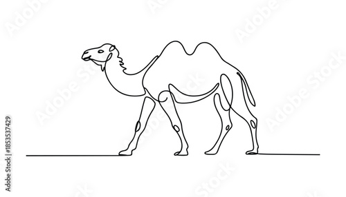 One continuous line illustration of an camel, isolated on white background.