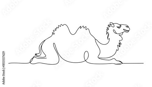 One continuous line illustration of an camel, isolated on white background.