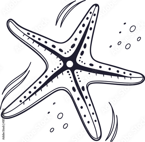Simple outline of a starfish icon on a white background