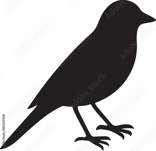 very simple flat and single minimalist Canary Silhouettes in black on a white background