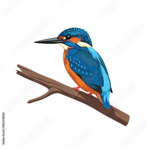 A vibrant kingfisher perched on a weathered branch showcasing striking colors