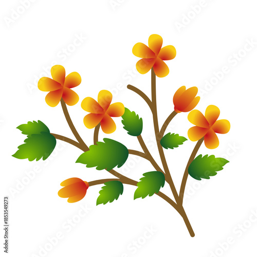 yellow flowers on white background