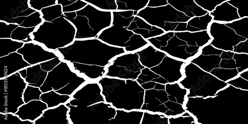 Abstract white cracked vein pattern on deep black background, organic branching texture resembling dried earth or lightning, high contrast, minimal, clean studio lighting, seamless, Adobe Stock qualit