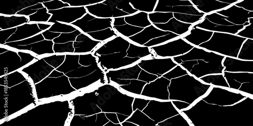 Abstract white cracked vein pattern on deep black background, organic branching texture resembling dried earth or lightning, high contrast, minimal, clean studio lighting, seamless, Adobe Stock qualit