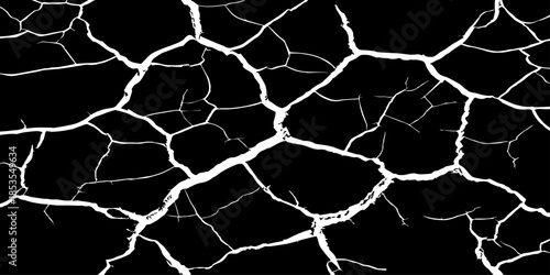 Abstract white cracked vein pattern on deep black background, organic branching texture resembling dried earth or lightning, high contrast, minimal, clean studio lighting, seamless, Adobe Stock qualit