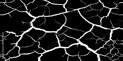 Abstract white cracked vein pattern on deep black background, organic branching texture resembling dried earth or lightning, high contrast, minimal, clean studio lighting, seamless, Adobe Stock qualit