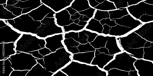 Abstract white cracked vein pattern on deep black background, organic branching texture resembling dried earth or lightning, high contrast, minimal, clean studio lighting, seamless, Adobe Stock qualit