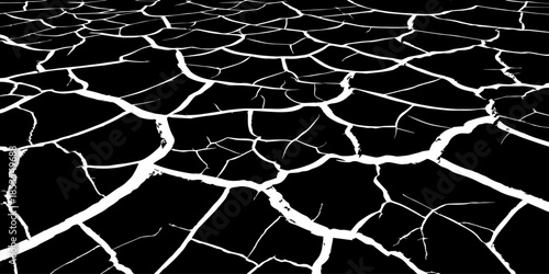 Abstract white cracked vein pattern on deep black background, organic branching texture resembling dried earth or lightning, high contrast, minimal, clean studio lighting, seamless, Adobe Stock qualit