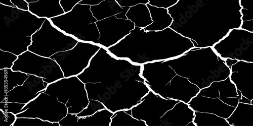 Abstract white cracked vein pattern on deep black background, organic branching texture resembling dried earth or lightning, high contrast, minimal, clean studio lighting, seamless, Adobe Stock qualit