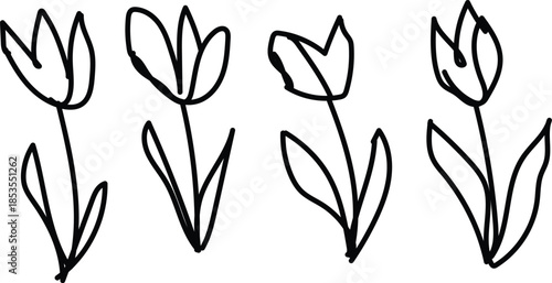 Simple line drawing of six tulips with leaves