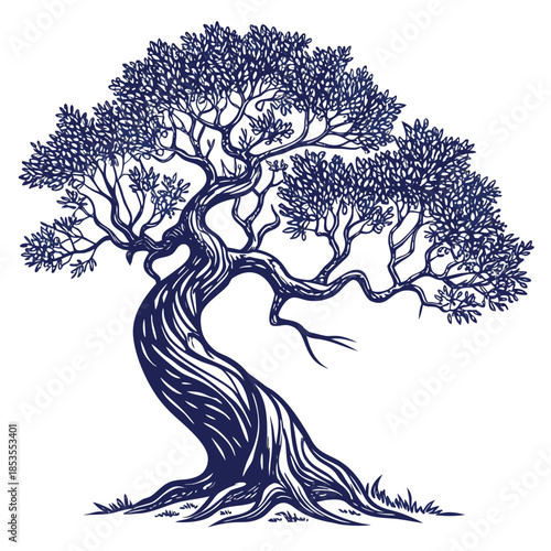 Illustrated Bonsai Tree Drawing on White Background Nature Art