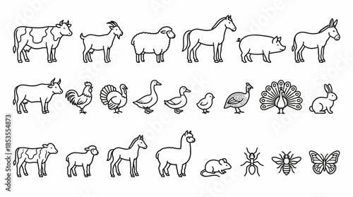 Farm Animal Vector Set with Cow, Horse, Goat, Pig, Rabbit, Poultry, Insects, Black and White Line Icons for Education, Worksheets, and Kids Learning