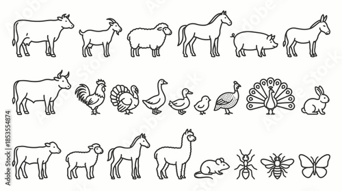 Farm Animal Vector Set with Cow, Horse, Goat, Pig, Rabbit, Poultry, Insects, Black and White Line Icons for Education, Worksheets, and Kids Learning