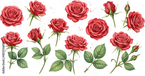 Beautiful seamless pattern with a set of red rose flowers and blossoms isolated on white to create a floral bouquet for a romantic Valentine gift