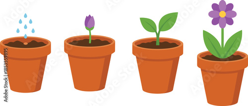 Four terracotta pots showing plant growth stages from seed to blooming flower sprout