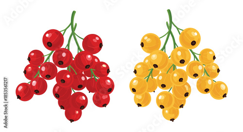 Bunches of fresh red and white currants with green stems, illustrated in a realistic cartoon style and isolated on a clean white background.