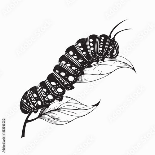 Caterpillar On Leaf Black And White Vector Image.