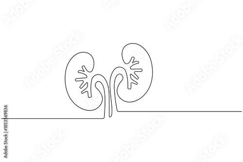 one line art of kidney of the renal system for medical and healthcare design