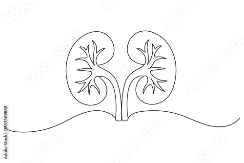 one line art of kidney of the renal system for medical and healthcare design
