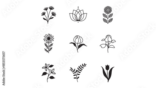 A collection of botanical illustrations showcasing various flowers and leaves in black and white.