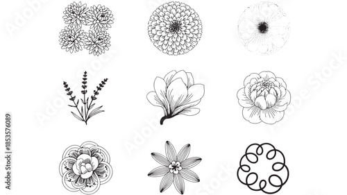 A collection of black and white floral illustrations showcasing various botanical designs and patterns