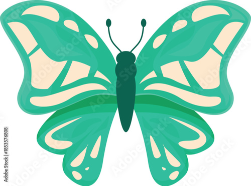 Beautiful green and beige butterfly with wide open wings